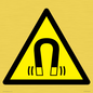 WV11054: W006 Warning: Magnetic field