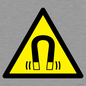 WV11054: W006 Warning: Magnetic field