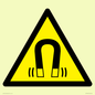 WV11054: W006 Warning: Magnetic field