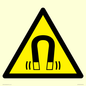 WV11054: W006 Warning: Magnetic field
