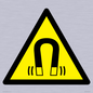 WV11054: W006 Warning: Magnetic field