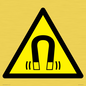 WV11054: W006 Warning: Magnetic field