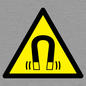 WV11054: W006 Warning: Magnetic field