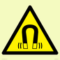 WV11054: W006 Warning: Magnetic field