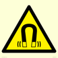 WV11054: W006 Warning: Magnetic field