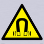 WV11054: W006 Warning: Magnetic field