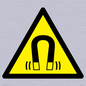 WV11054: W006 Warning: Magnetic field