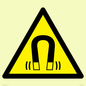 WV11054: W006 Warning: Magnetic field