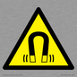 WV11054: W006 Warning: Magnetic field