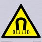 WV11054: W006 Warning: Magnetic field