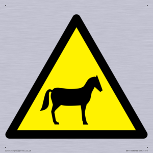 WV11168: W506 Warning: Horses