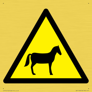 WV11168: W506 Warning: Horses