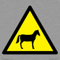 WV11168: W506 Warning: Horses