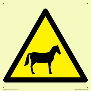 WV11168: W506 Warning: Horses