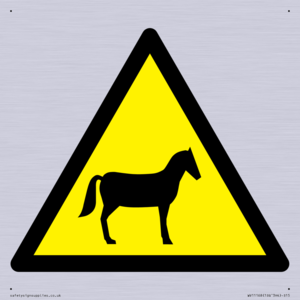 WV11168: W506 Warning: Horses