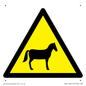 WV11168: W506 Warning: Horses