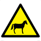 WV11168: W506 Warning: Horses