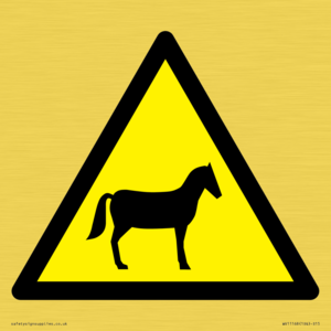 WV11168: W506 Warning: Horses