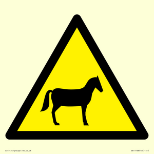 WV11168: W506 Warning: Horses