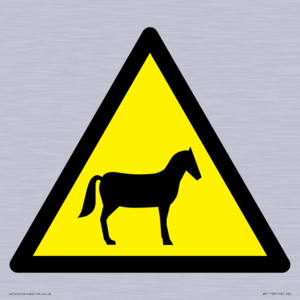 WV11168: W506 Warning: Horses