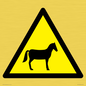 WV11168: W506 Warning: Horses