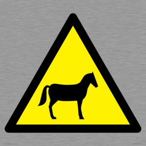 WV11168: W506 Warning: Horses