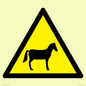 WV11168: W506 Warning: Horses