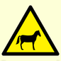 WV11168: W506 Warning: Horses