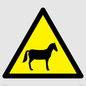 WV11168: W506 Warning: Horses