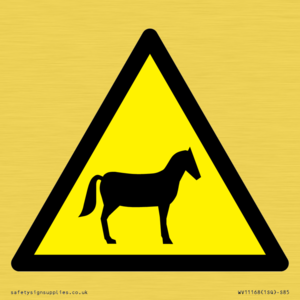 WV11168: W506 Warning: Horses