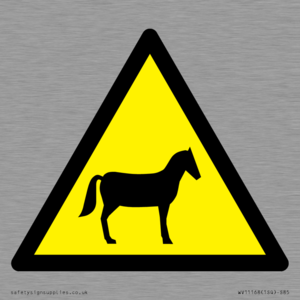WV11168: W506 Warning: Horses