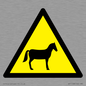 WV11168: W506 Warning: Horses