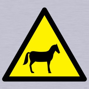 WV11168: W506 Warning: Horses