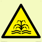 WV11188: W516 Warning: fountain/water plume