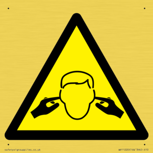 WV11220: W909 Warning: Noise hazard