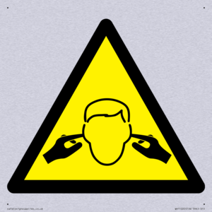 WV11220: W909 Warning: Noise hazard