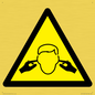 WV11220: W909 Warning: Noise hazard
