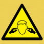 WV11220: W909 Warning: Noise hazard