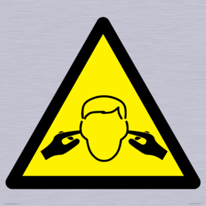 WV11220: W909 Warning: Noise hazard