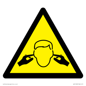 WV11220: W909 Warning: Noise hazard