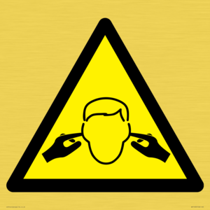 WV11220: W909 Warning: Noise hazard