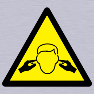WV11220: W909 Warning: Noise hazard