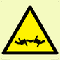WV11940: W033 Warning: Barbed wire