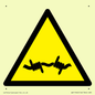 WV11940: W033 Warning: Barbed wire