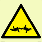 WV11940: W033 Warning: Barbed wire