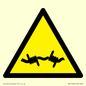 WV11940: W033 Warning: Barbed wire