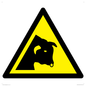 WV11942: W034 Warning: Bull