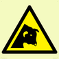 WV11942: W034 Warning: Bull