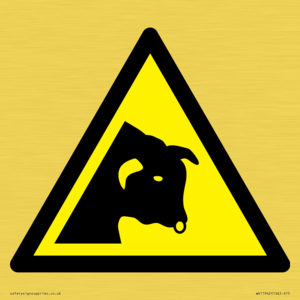 WV11942: W034 Warning: Bull