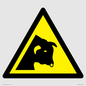 WV11942: W034 Warning: Bull